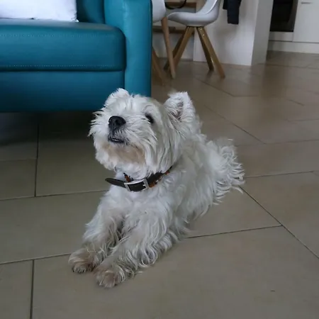 Rheindesign River Promenade דירה *