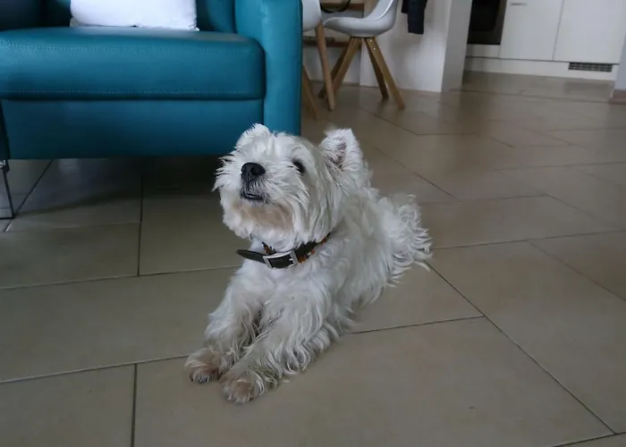 Rheindesign River Promenade דירה *